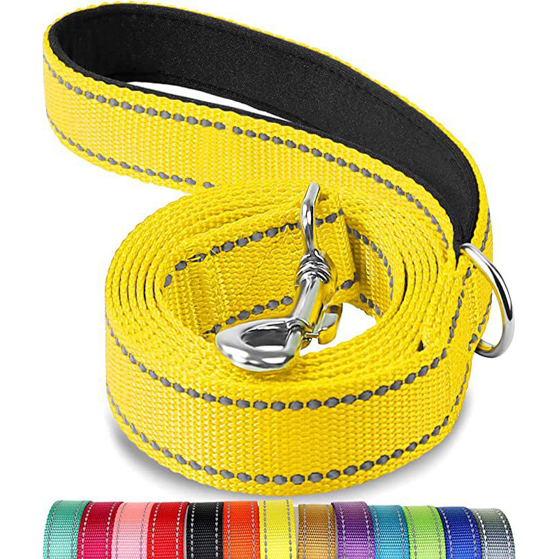 Multicolor pet nylon leash with metal clasp and reflective stitching for durability and safety