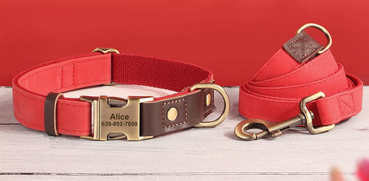 Perso alized Burnt Orange Nylon/Leather Pet Collaer & Leash Set