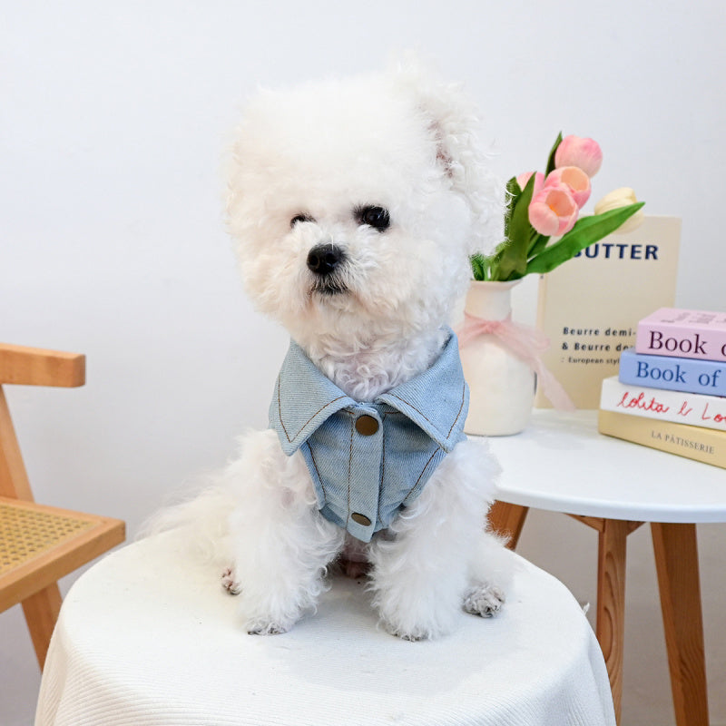 Denim winged heart pet vest by Pet Panache Boutique, stylish blue pet vest with winged heart design for small dogs or cats