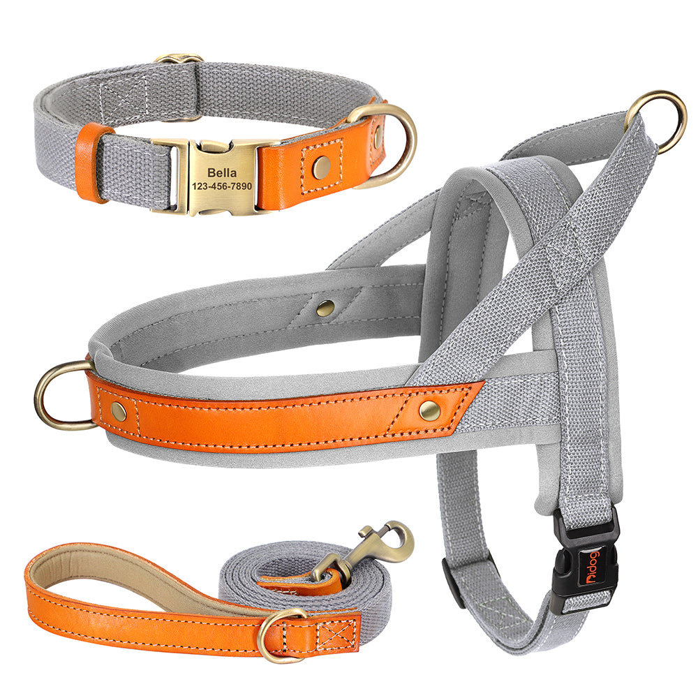 Chambray Blue Pet Personalized Collar, Harness & Leash Set