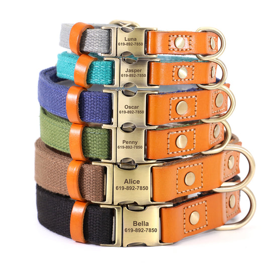 Solid Color Nylon/Leather Pet Collars