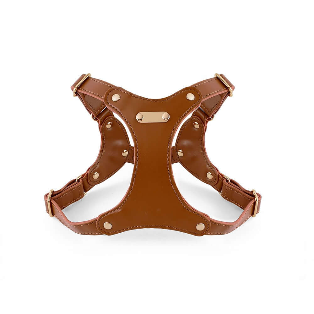 Golden brown leather pet harness with gold studs from Pet Panache Boutique, shown on a dog against a neutral background.