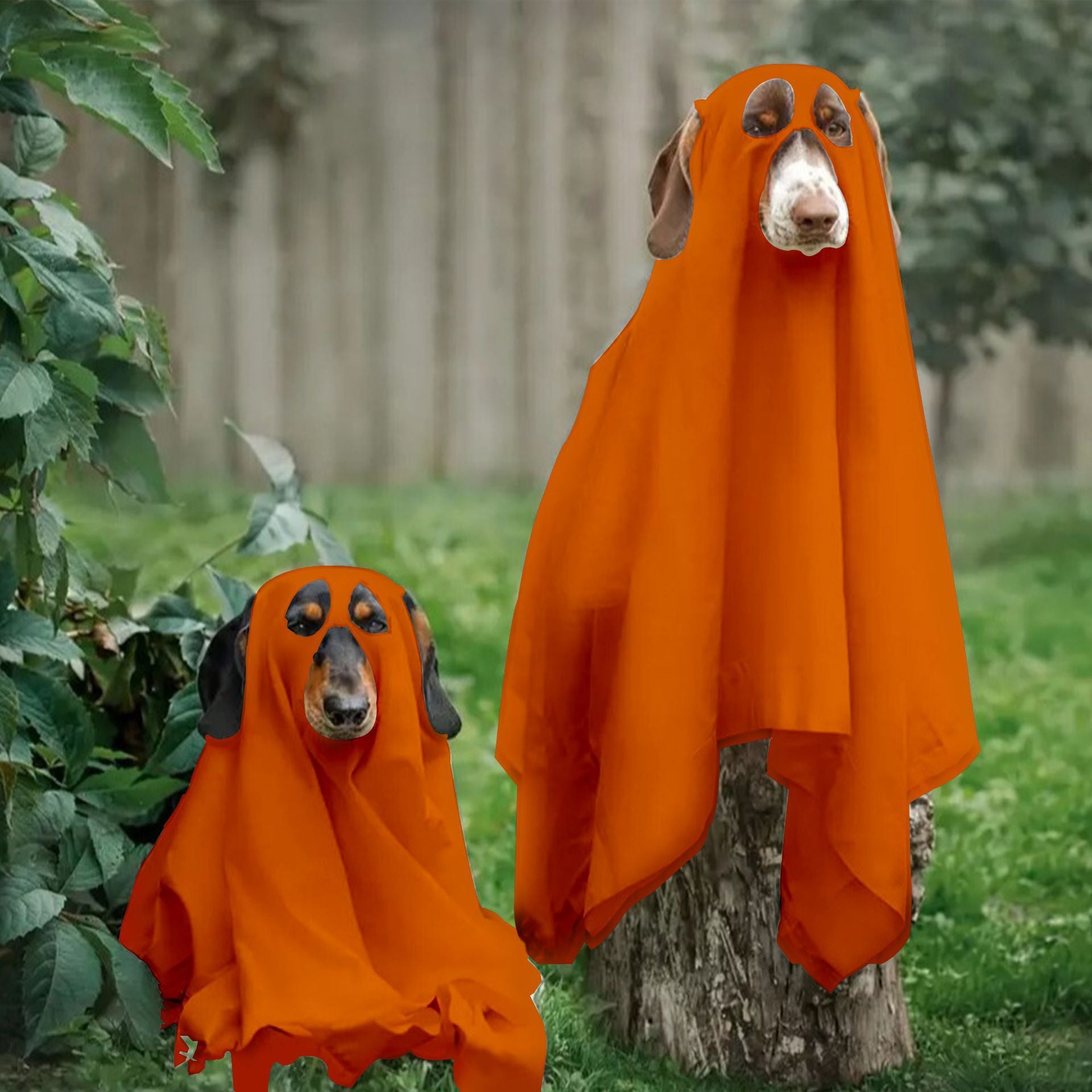 Ghost Pet Costume - Pet Panache Boutique
