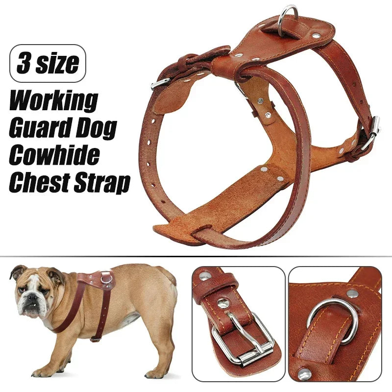 Walnut genuine leather pet harness by Pet Panache Boutique, featuring adjustable straps and durable craftsmanship for dogs.