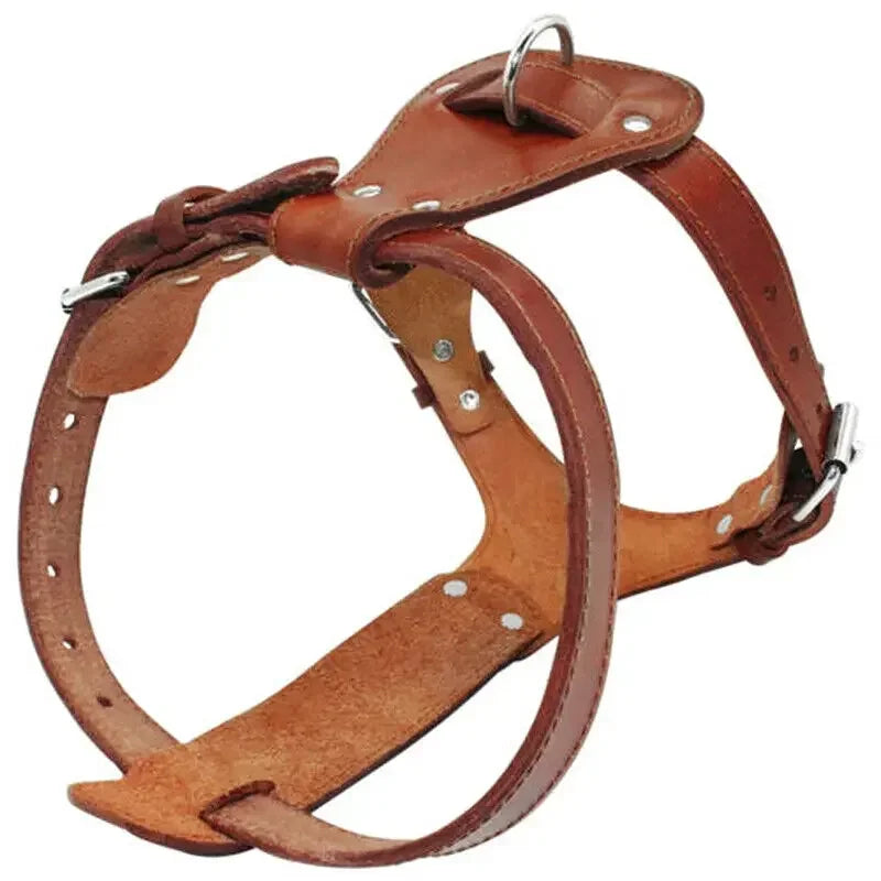 Walnut genuine leather pet harness from Pet Panache Boutique, featuring durable straps and adjustable fit for small to medium pets.