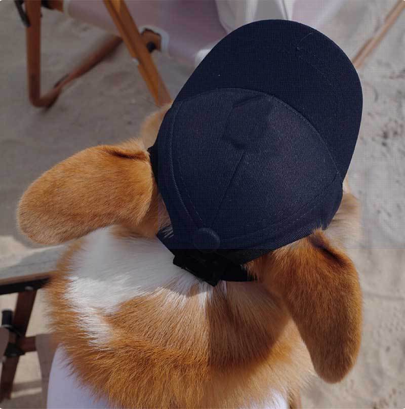 Personalized Pet Hats