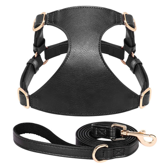 Black leather harness and leash set from Pet Panache Boutique, featuring personalized collar design for pets.