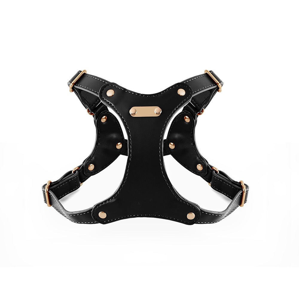 Black Leather Gold Studded Pet Harness