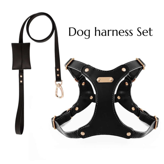 Black leather pet harness and leash set with gold studs, designed by Pet Panache Boutique for stylish pet walks.