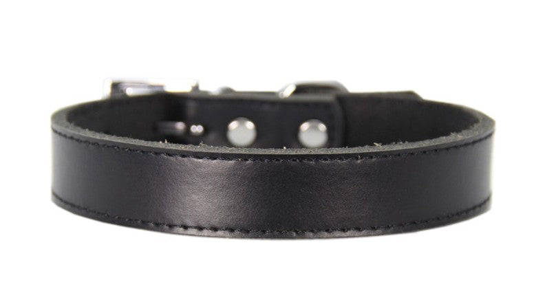 Black leather pet collar from Pet Panache Boutique with a sturdy buckle and stylish design for dogs or cats.