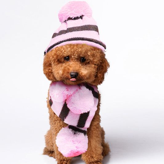 Small dog wearing pink and black striped pet hat and scarf set with pom-poms