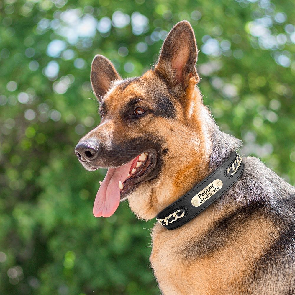 Black Leather Chain Wrapped Collar - Pet Panache Boutique