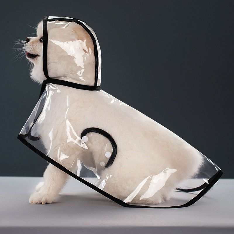Clear Pet Raincoat with colorful trim from Pet Panache Boutique, showcasing a transparent waterproof coat for dogs.