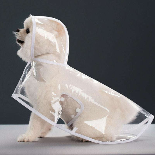 Clear Pet Raincoat with colorful trim from Pet Panache Boutique, showing a transparent waterproof coat for dogs with vibrant accents.