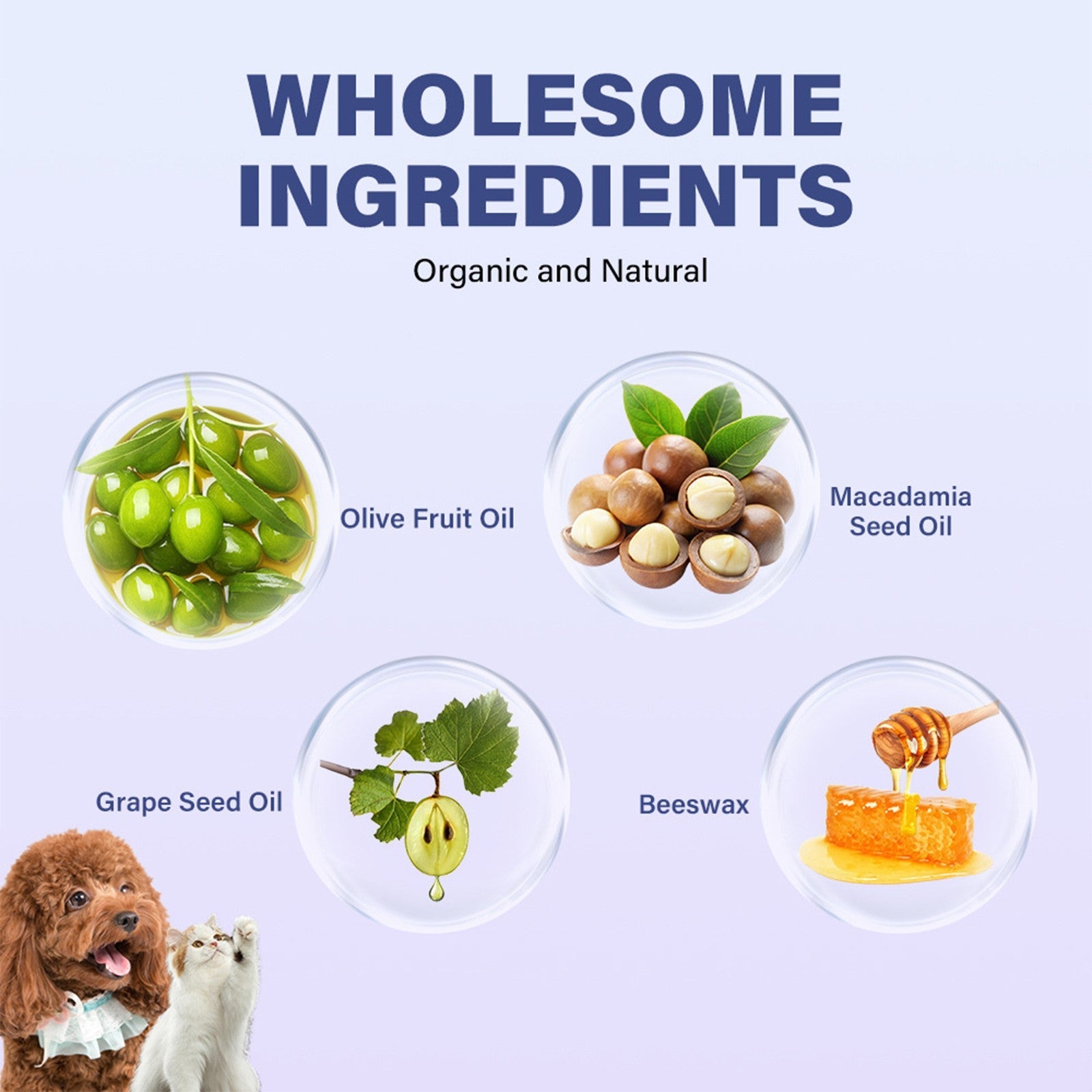Coconut paw and nose balm in a jar, designed for pets, showcasing a creamy texture and lick-safe formula.