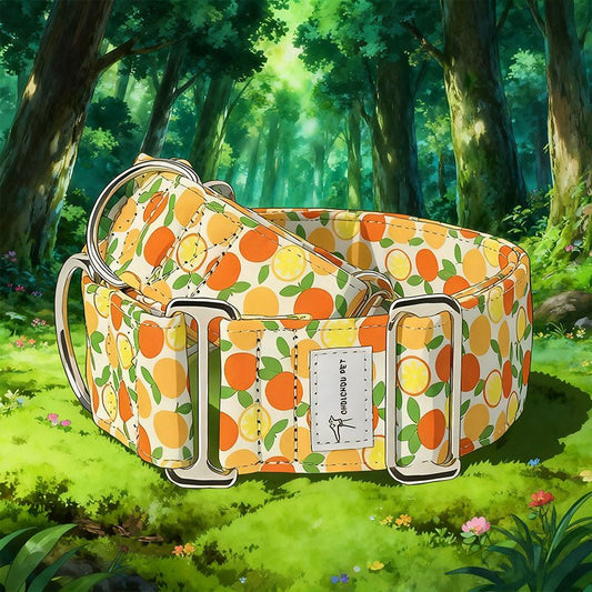 Floral Adjustable Wide Fabric Pet Collar - Pet Panache Boutique