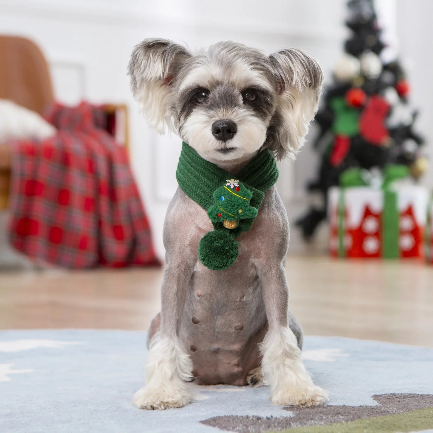 Holiday / Christmas Green Pet Scarves - Pet Panache Boutique