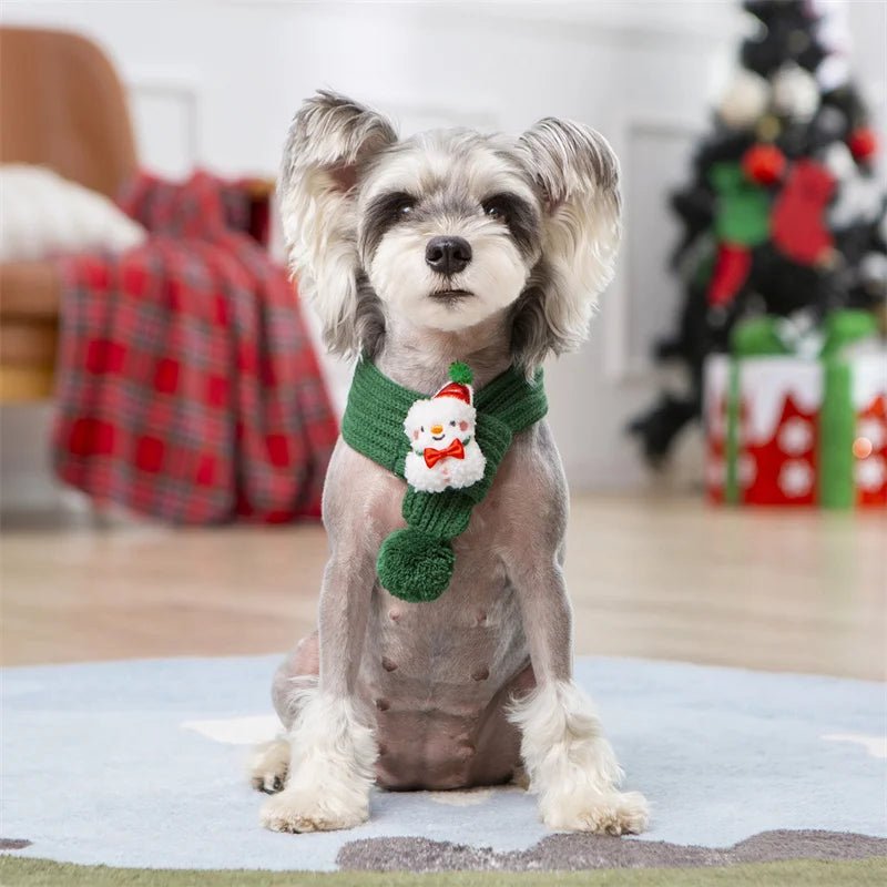 Holiday / Christmas Green Pet Scarves - Pet Panache Boutique