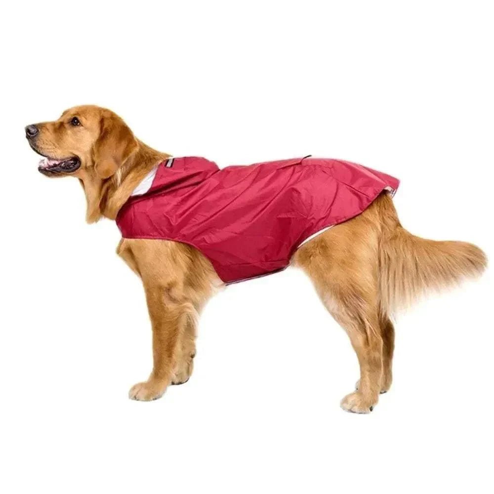 Large Dog Raincoat's - Pet Panache Boutique