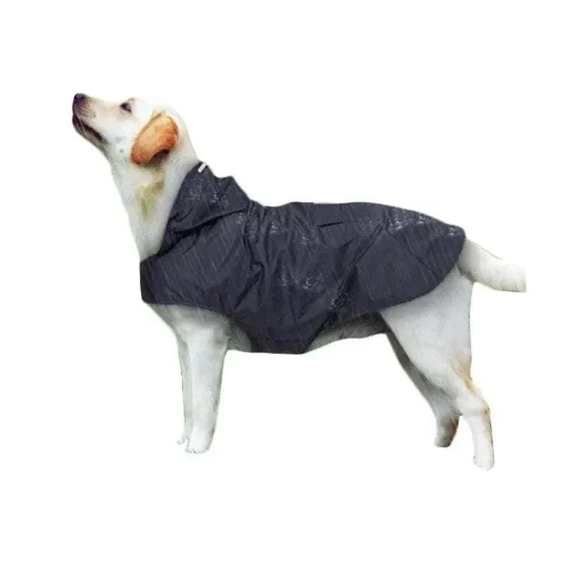 Large Dog Raincoat's - Pet Panache Boutique
