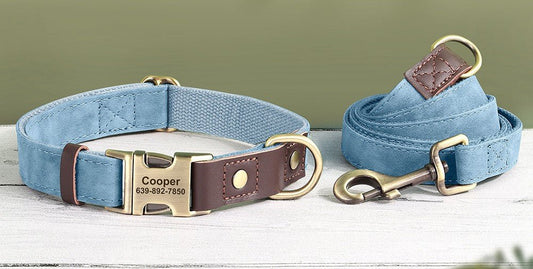 Light Blue Nylon/Leather Pet Collar & Leash Set - Pet Panache Boutique