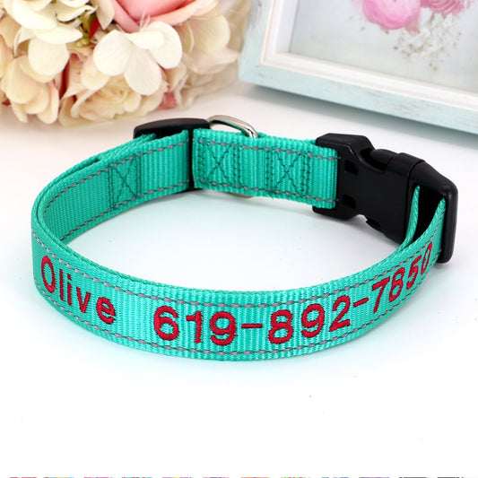 Personalized Aqua Blue Nylon Pet Collar - Pet Panache Boutique