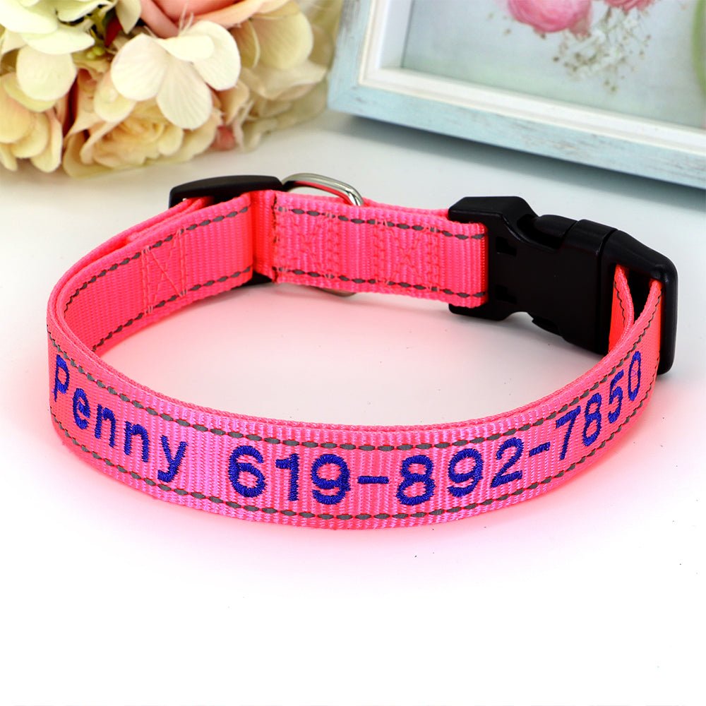 Personalized Ballet Pink Nylon Pet Collar - Pet Panache Boutique