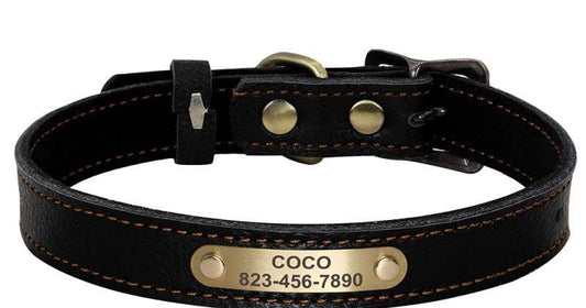 Personalized Black Leather Pet Collar - Pet Panache Boutique