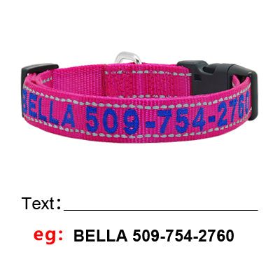 Personalized Nylon Pet Collars - Pet Panache Boutique
