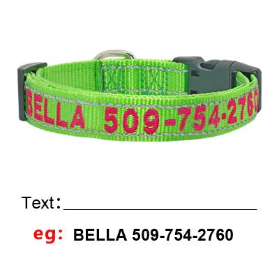 Personalized Nylon Pet Collars - Pet Panache Boutique
