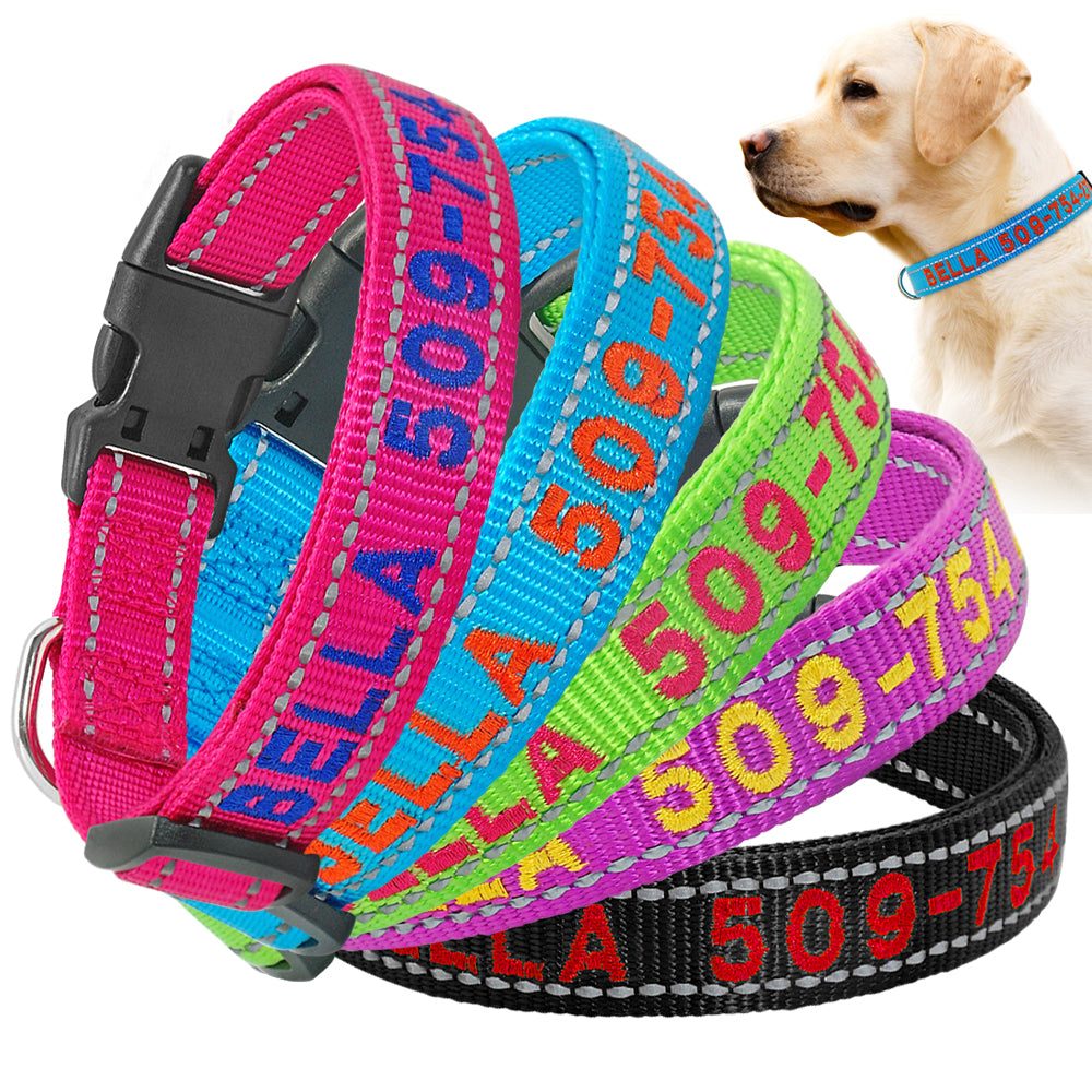Personalized Nylon Pet Collars - Pet Panache Boutique