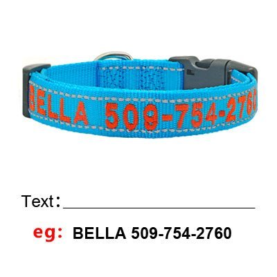 Personalized Nylon Pet Collars - Pet Panache Boutique