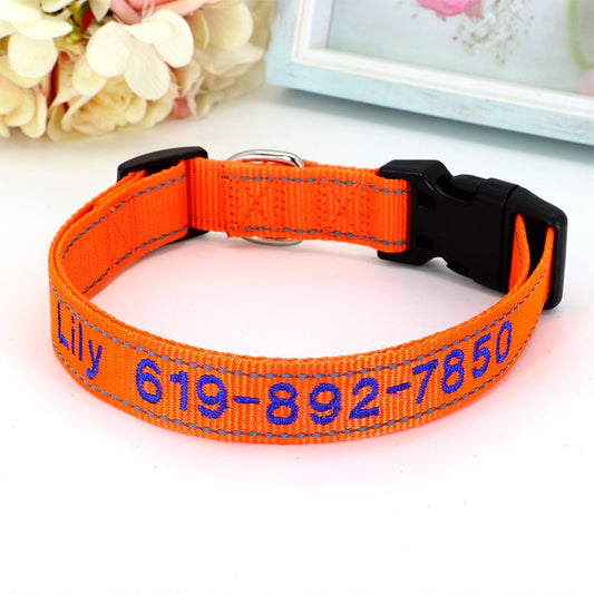 Personalized Orange Crush Nylon Pet Collar - Pet Panache Boutique