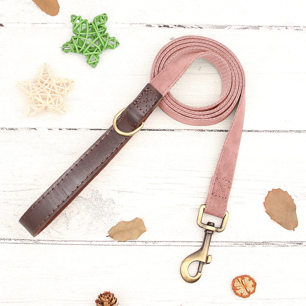 Personalized Pink Nylon/Leather Pet Collar & Leash Set - Pet Panache Boutique