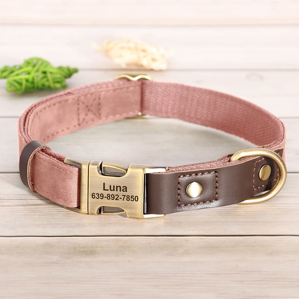 Personalized Pink Nylon/Leather Pet Collar & Leash Set - Pet Panache Boutique