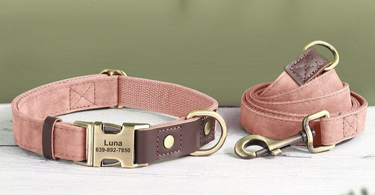 Personalized Pink Nylon/Leather Pet Collar & Leash Set - Pet Panache Boutique