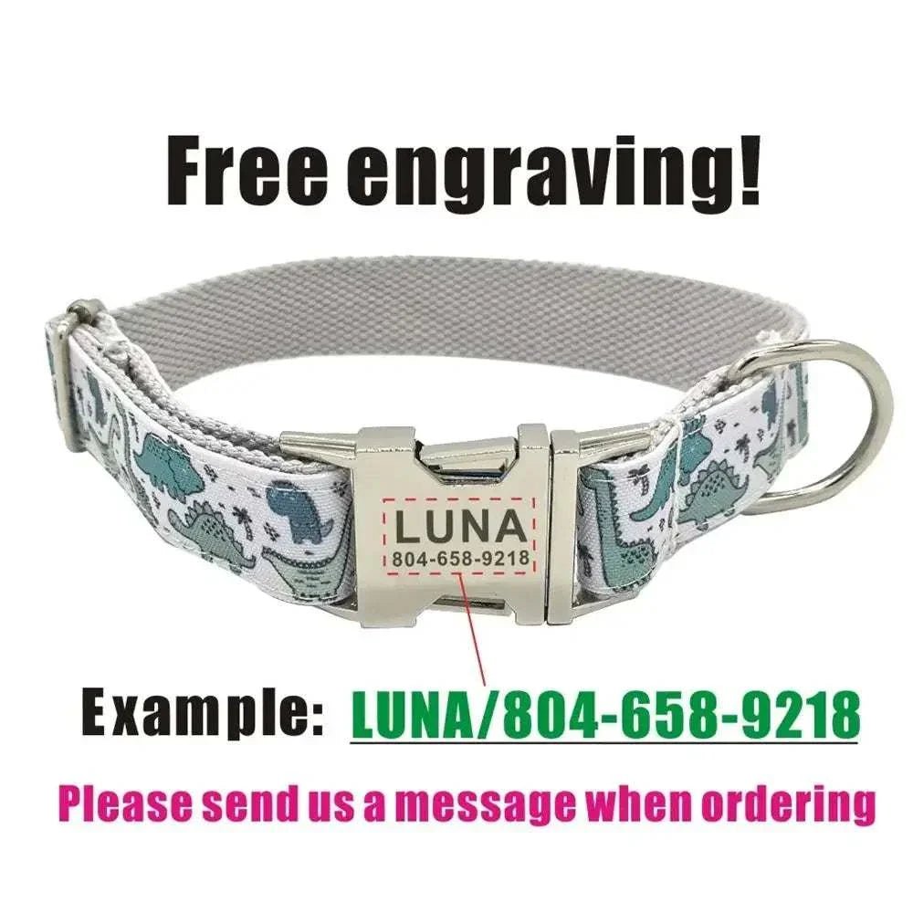 Personalized Pink or Blue Dinosaur Pet Collar & Leash Set - Pet Panache Boutique