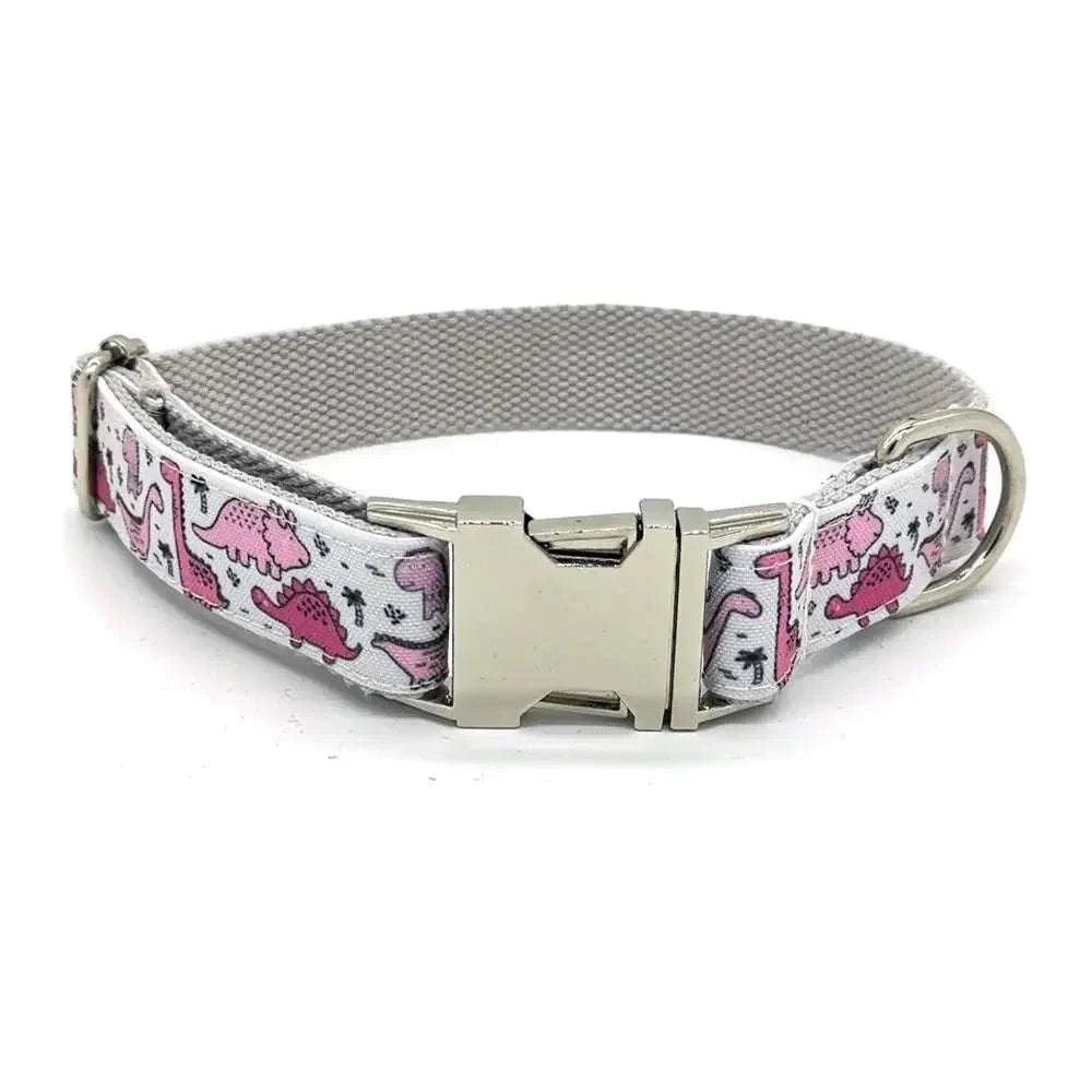 Personalized Pink or Blue Dinosaur Pet Collar & Leash Set - Pet Panache Boutique