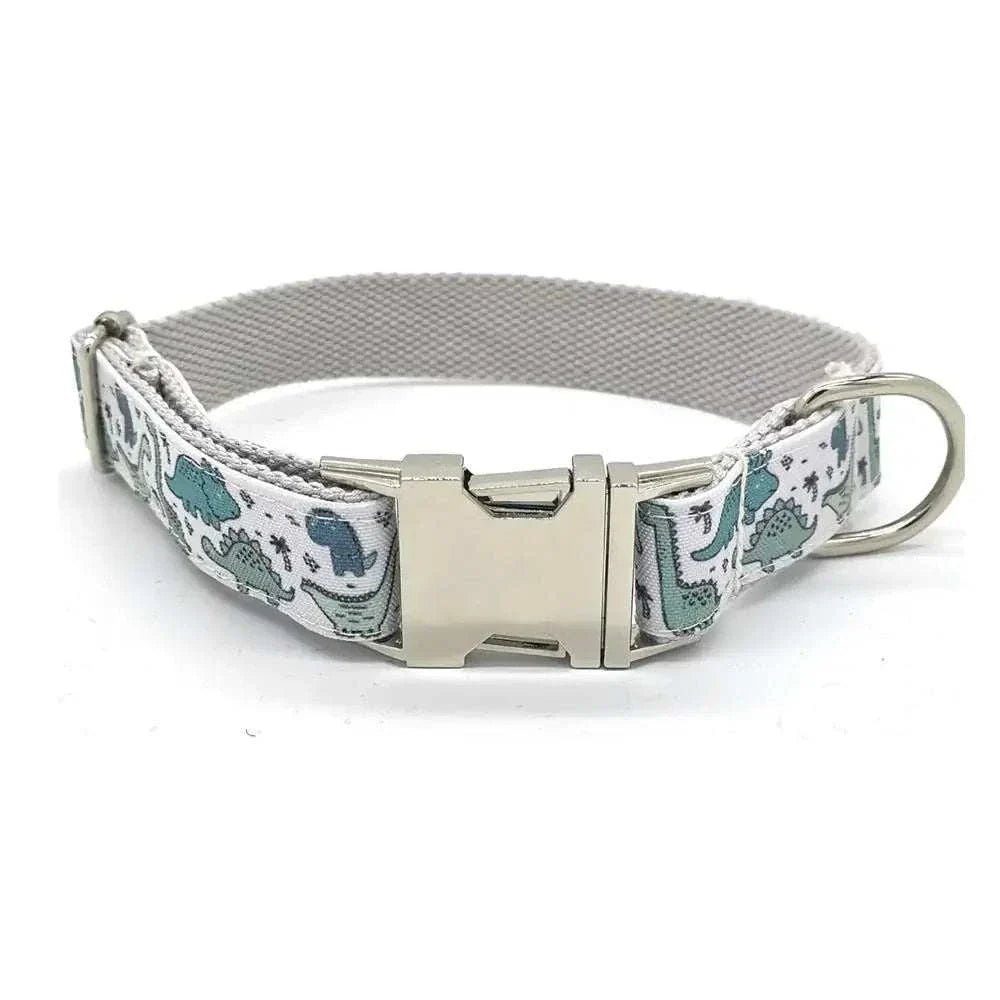 Personalized Pink or Blue Dinosaur Pet Collar & Leash Set - Pet Panache Boutique