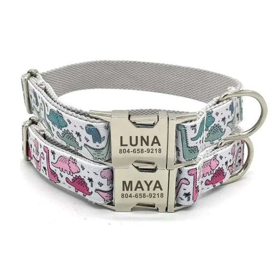 Personalized Pink or Blue Dinosaur Pet Collar & Leash Set - Pet Panache Boutique