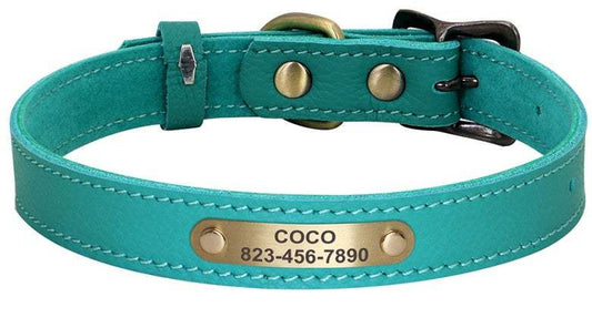 Personalized Turquoise Leather Pet Collar - Pet Panache Boutique