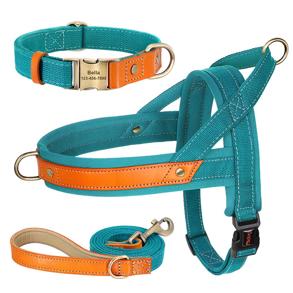 Personalized turquoise pet collar, harness, and leash set from Pet Panache Boutique with custom name embroidery.