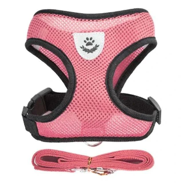 Pet Harness & Leash Set ; Multi Colors - Pet Panache Boutique