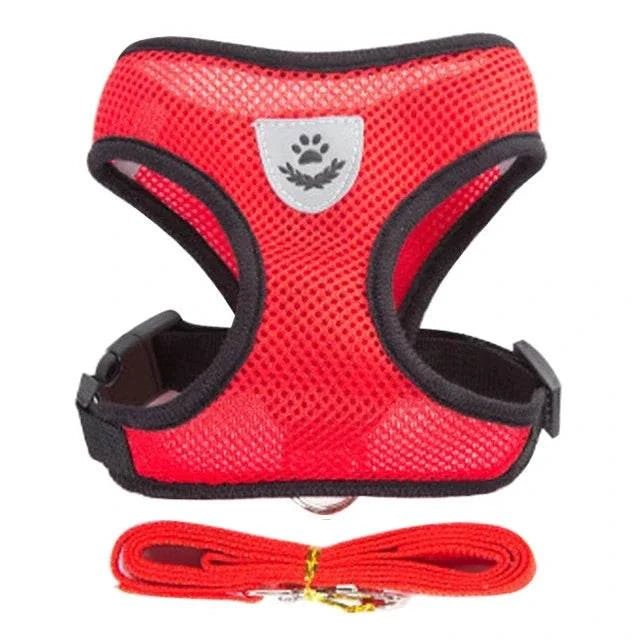 Pet Harness & Leash Set ; Multi Colors - Pet Panache Boutique