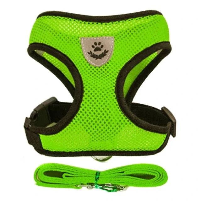 Pet Harness & Leash Set ; Multi Colors - Pet Panache Boutique