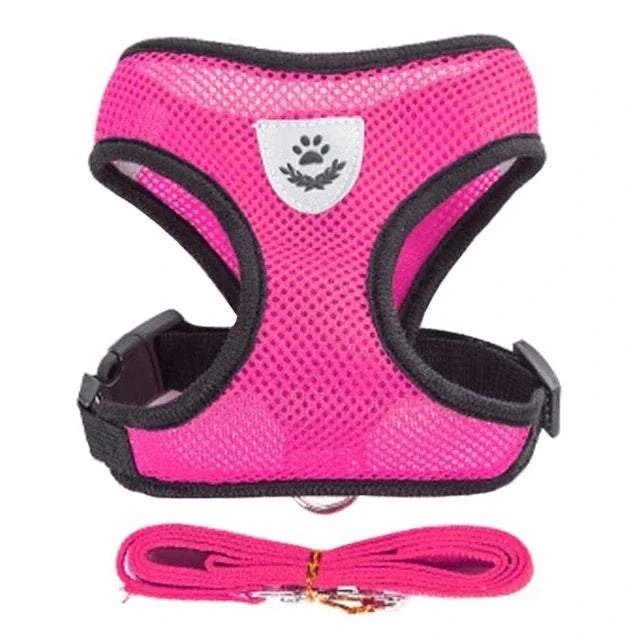Pet Harness & Leash Set ; Multi Colors - Pet Panache Boutique