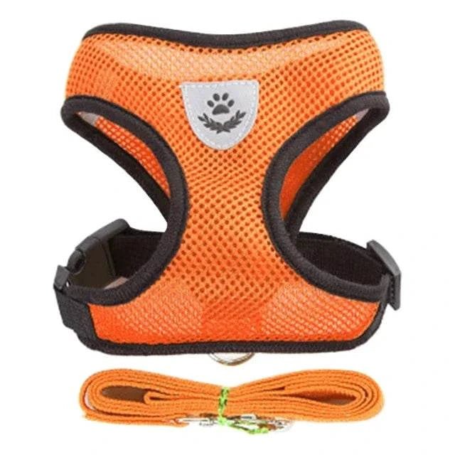 Pet Harness & Leash Set ; Multi Colors - Pet Panache Boutique