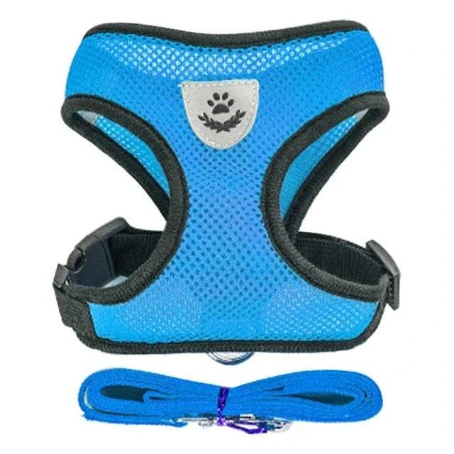 Pet Harness & Leash Set ; Multi Colors - Pet Panache Boutique