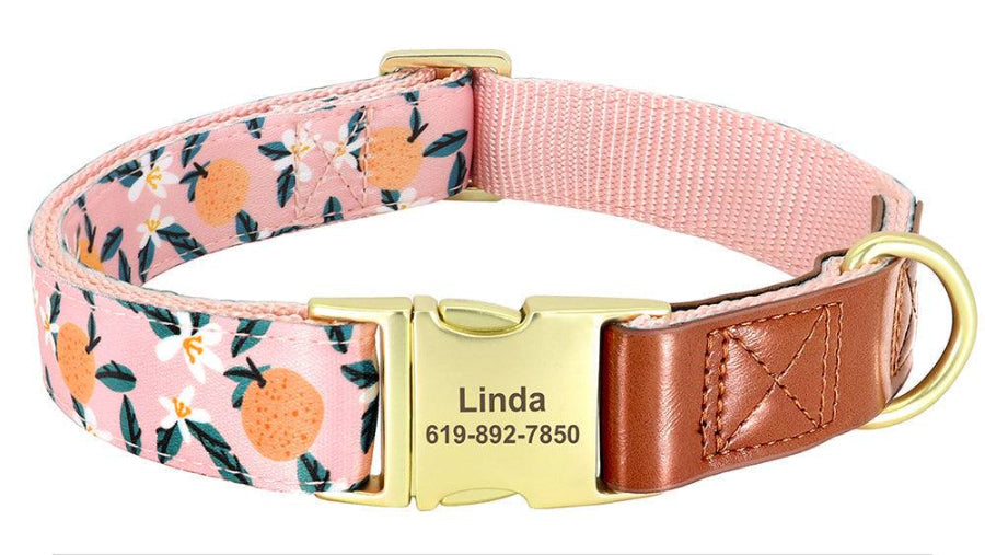 Pink Citrus Personalized Pet Collar - Pet Panache Boutique