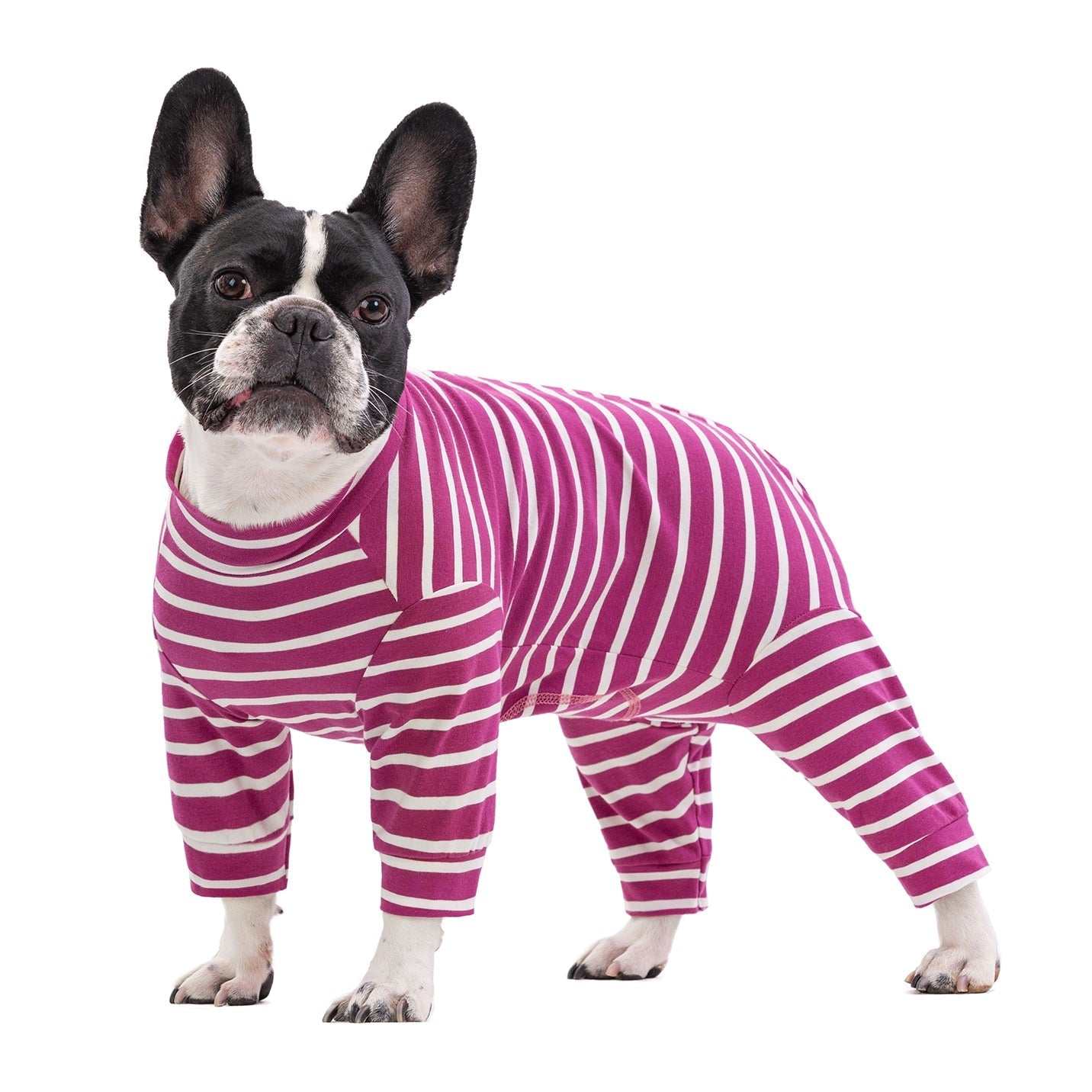Pink Striped Pet Pajamas - Pet Panache Boutique